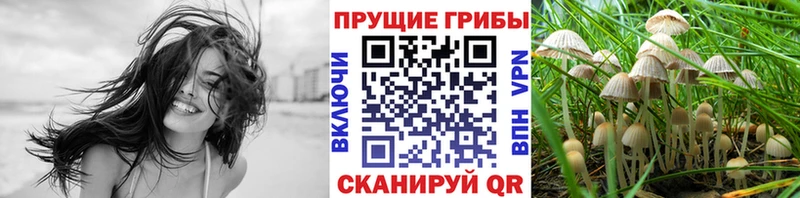 Галлюциногенные грибы MAGIC MUSHROOMS МЕГА зеркало Гатчина